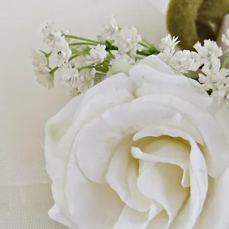 Mauritius Sentirsi A Casa