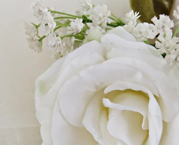 Mauritius Sentirsi A Casa